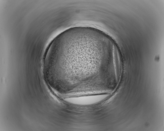 X0000091651517200709060948