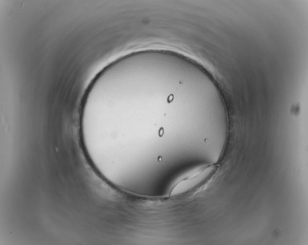 X0000091651518200709060948