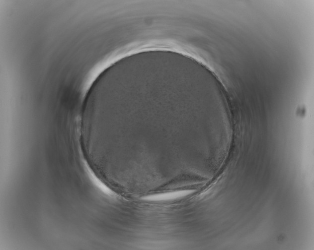 X0000091651519200709060948