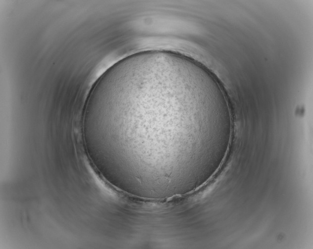 X0000091651521200709060948