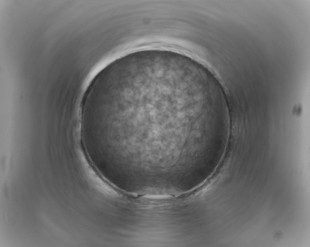 X0000091651522200709060948