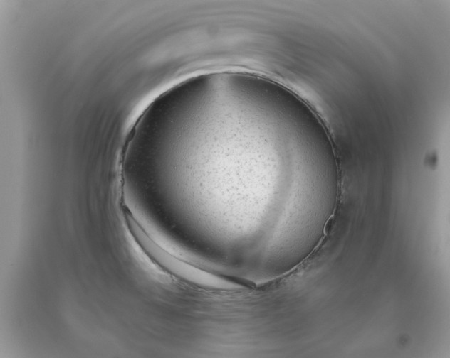 X0000091651524200709060948