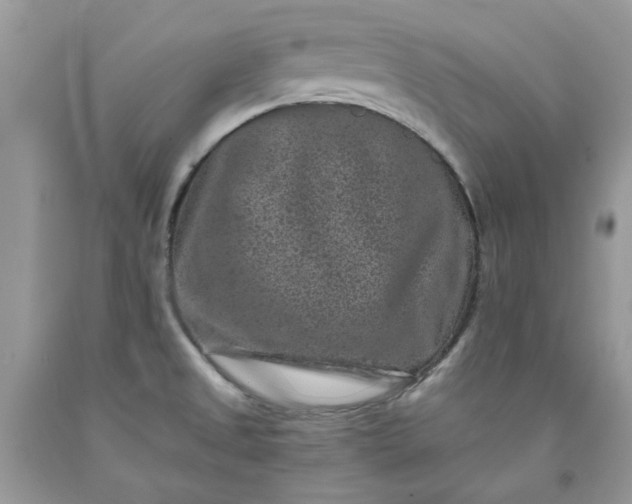 X0000091651525200709060948