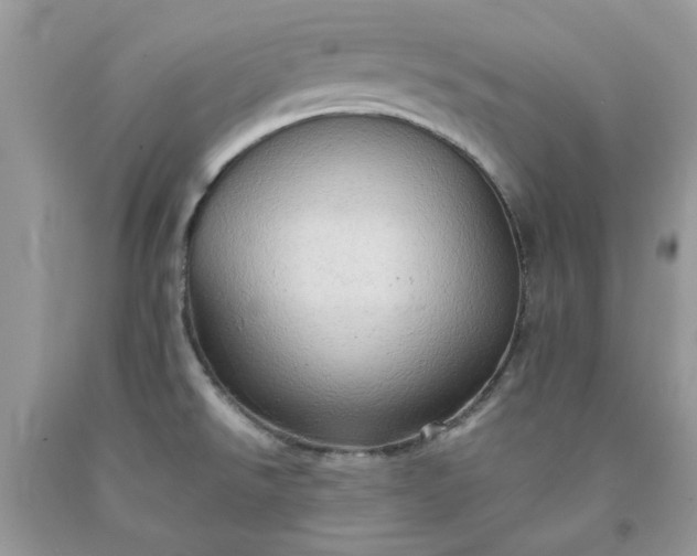 X0000091651526200709060948