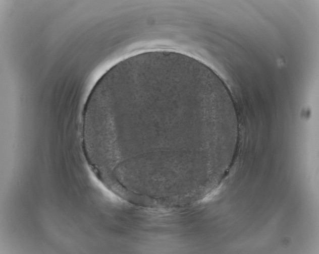 X0000091651527200709060948