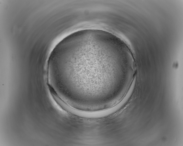 X0000091651528200709060948