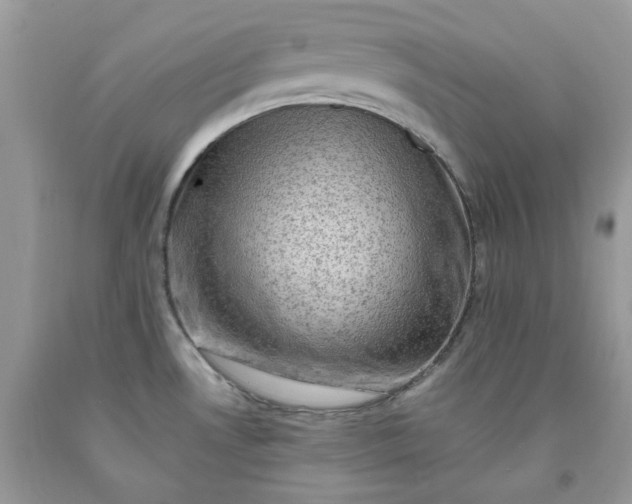 X0000091651530200709060948