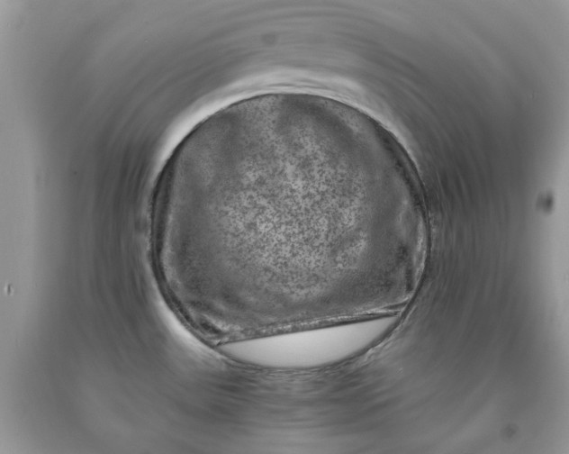 X0000091651531200709060948