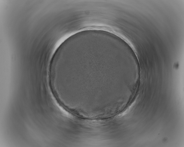 X0000091651533200709060948