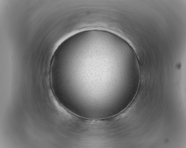 X0000091651534200709060948