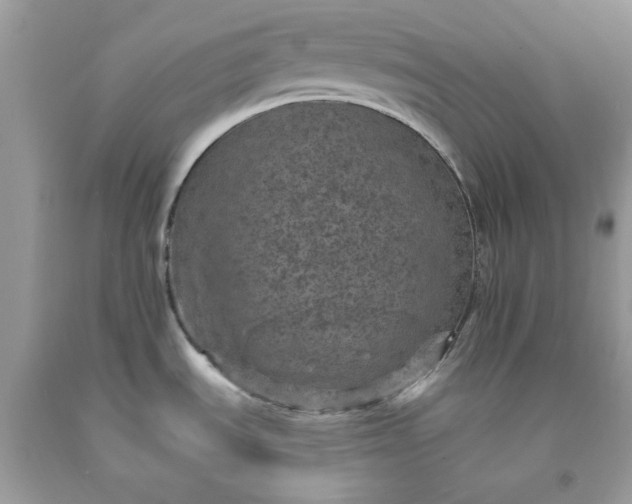 X0000091651535200709060948