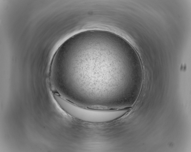 X0000091651536200709060948