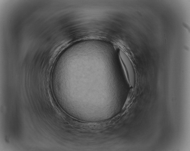 X0000091650001200709131459