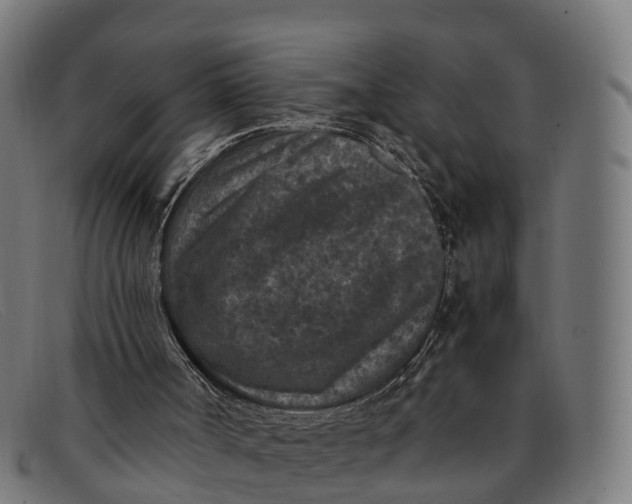 X0000091650002200709131459