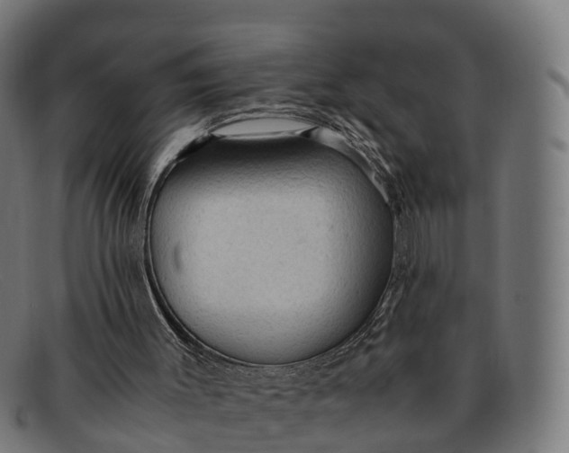 X0000091650003200709131459