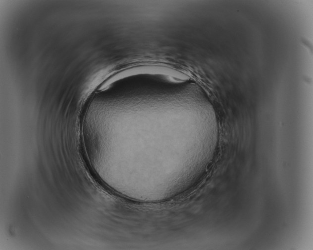 X0000091650005200709131459