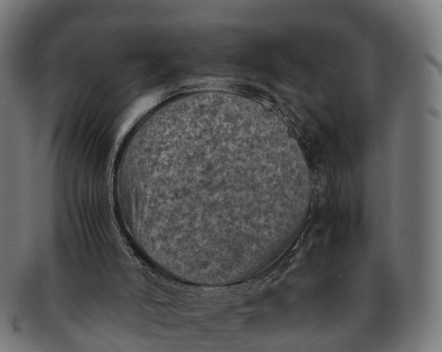 X0000091650006200709131459