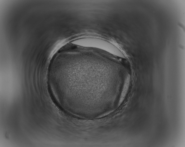 X0000091650007200709131459