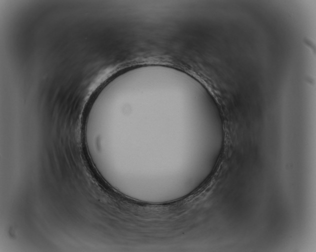 X0000091650008200709131459