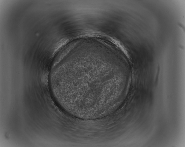 X0000091650010200709131459