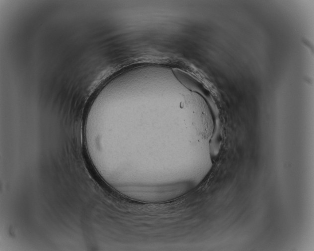 X0000091650011200709131459