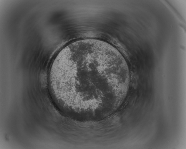 X0000091650012200709131459