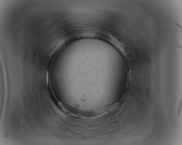 X0000091650013200709131459