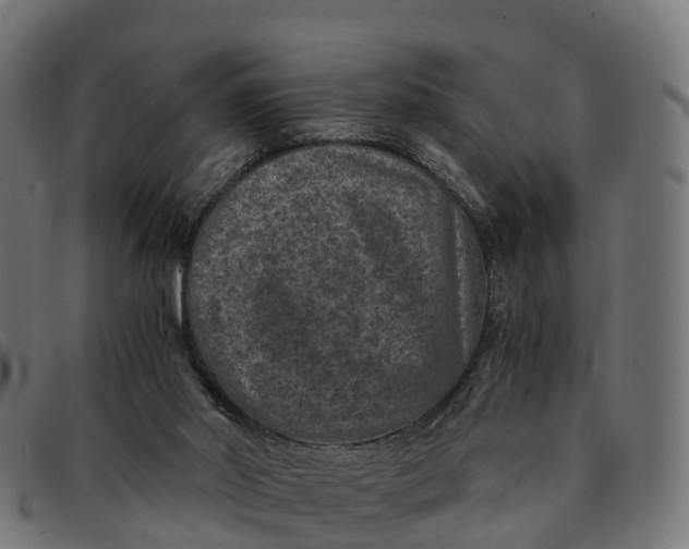 X0000091650014200709131459