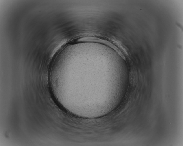 X0000091650015200709131459