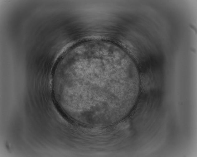 X0000091650016200709131459