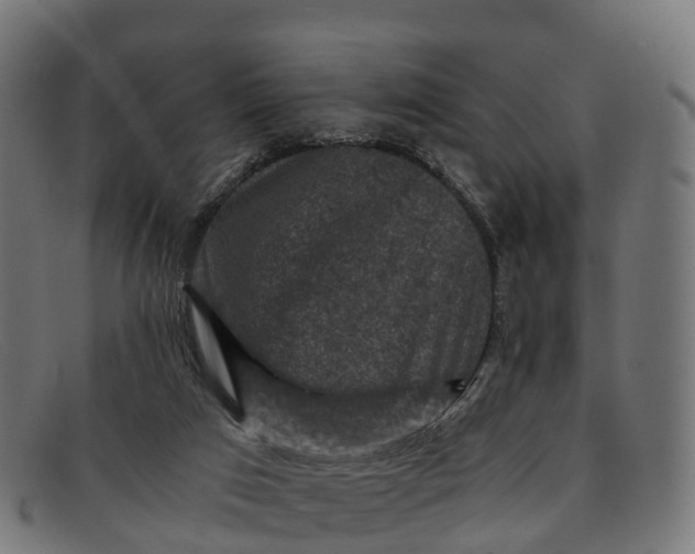 X0000091650017200709131459