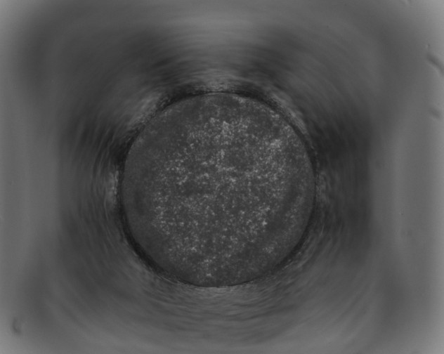 X0000091650018200709131459