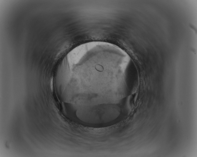 X0000091650019200709131459