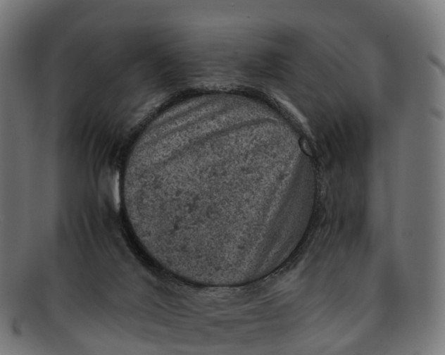 X0000091650020200709131459