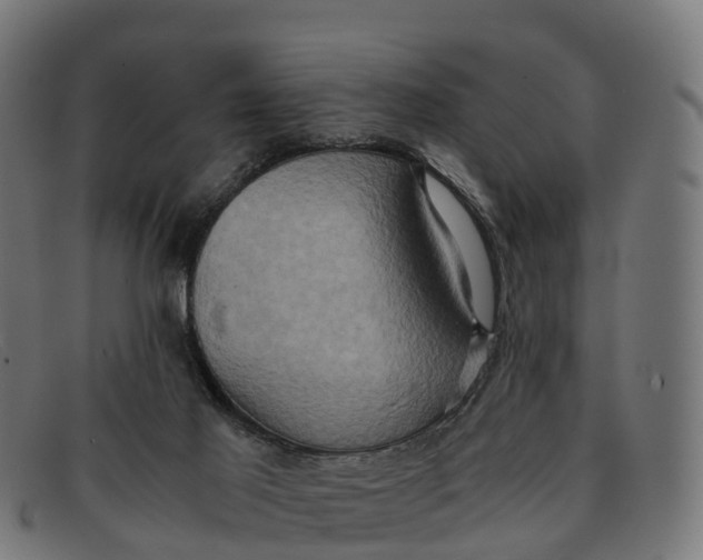 X0000091650021200709131459