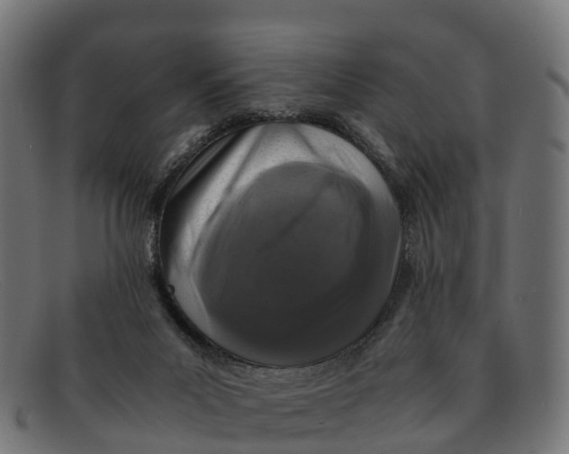 X0000091650023200709131459