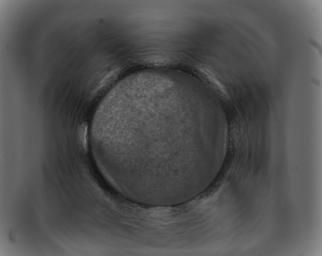 X0000091650024200709131459