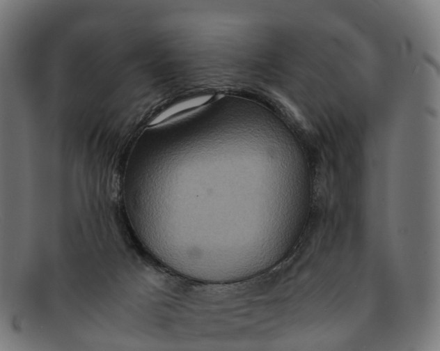 X0000091650025200709131459