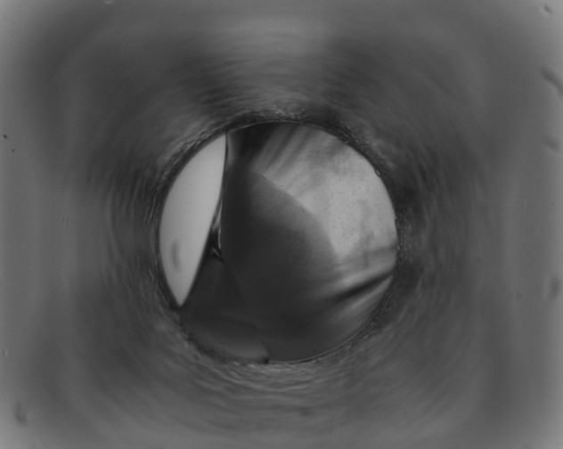 X0000091650027200709131459