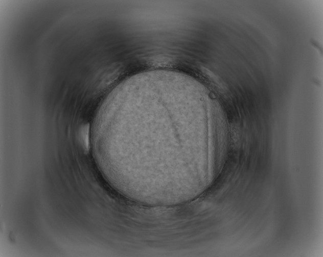 X0000091650028200709131459