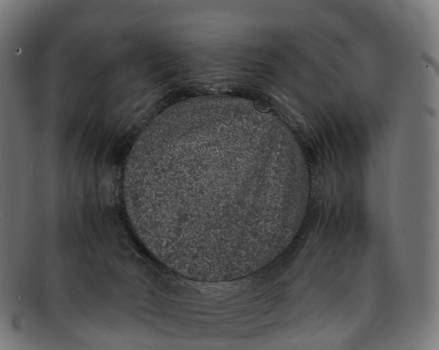 X0000091650030200709131459