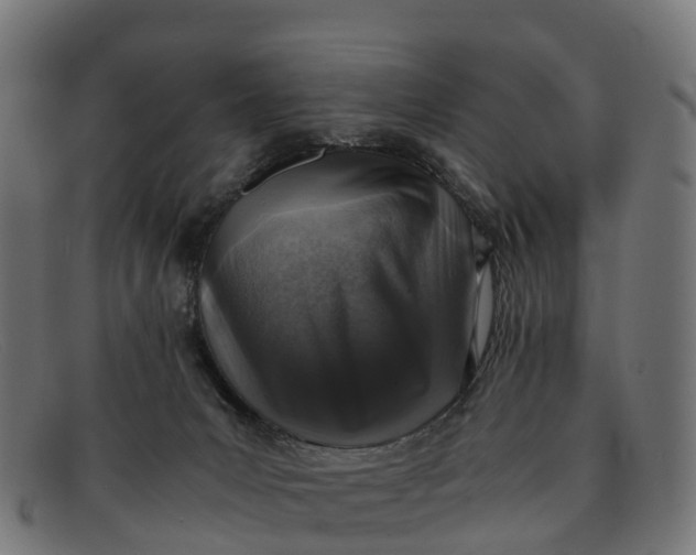 X0000091650031200709131459