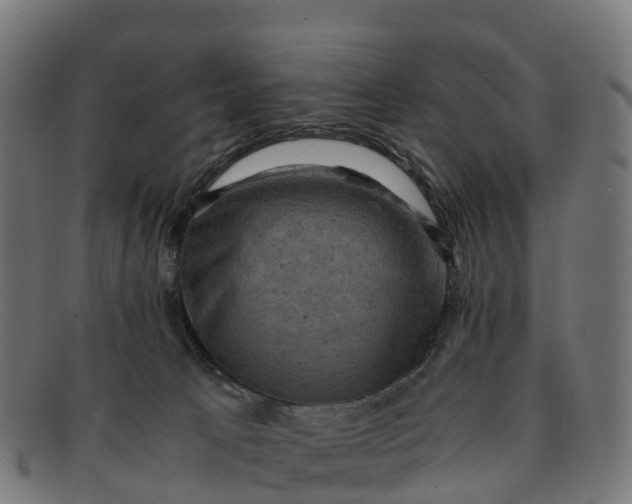 X0000091650033200709131459