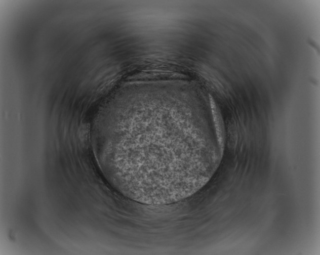 X0000091650034200709131459