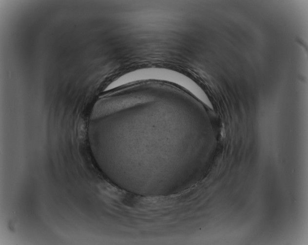 X0000091650037200709131459