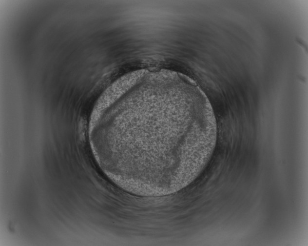 X0000091650038200709131459