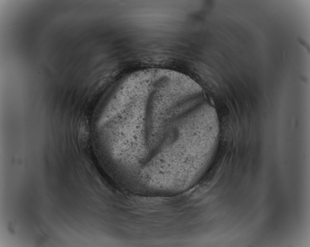 X0000091650040200709131459