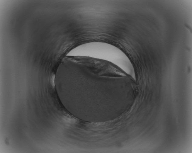 X0000091650041200709131459