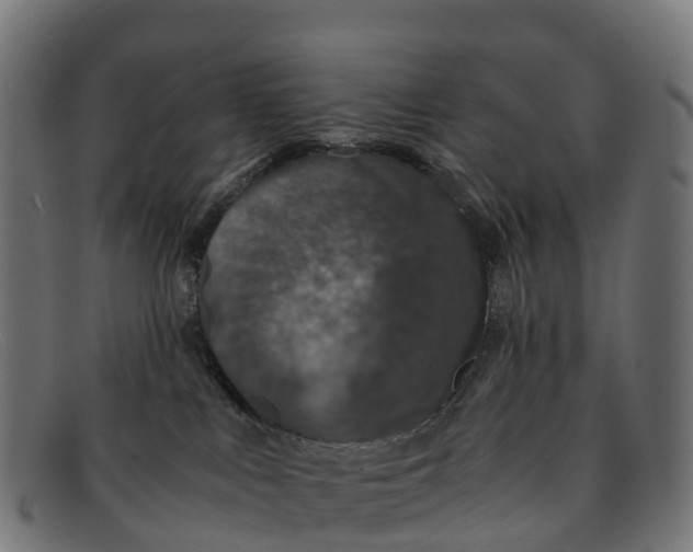 X0000091650043200709131459