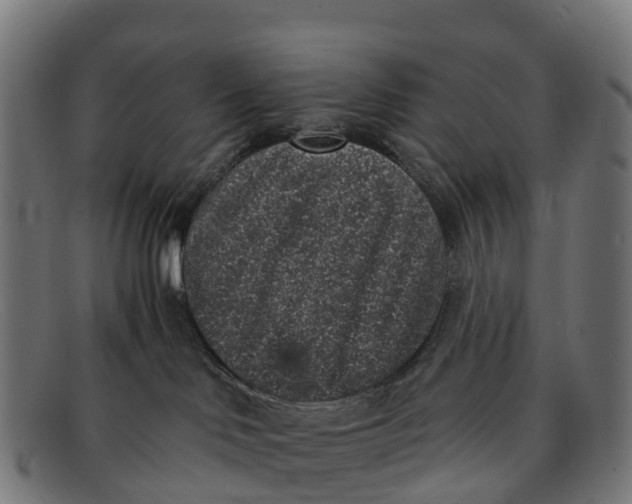 X0000091650046200709131459